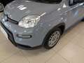 Fiat Panda 1.0 FireFly S&S Hybrid Gris - thumbnail 5