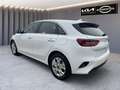Kia Ceed / cee'd CEED_5 1.0T 100 VISION NAVI Blanc - thumbnail 12