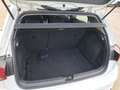 Volkswagen Golf 2.0TDI DSG 85kW Blanco - thumbnail 8