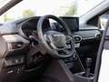 Dacia Sandero Stepway Extreme TCe 110 SD NAVI SHZ PDC Weiß - thumbnail 14