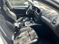 Audi A4 allroad 2.0 tdi advanced Business Plus 190cv Bianco - thumbnail 6
