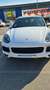Porsche Cayenne Cayenne III S Aut. E - Hybrid Platinum Edition Weiß - thumbnail 19