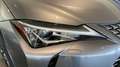 Lexus UX 250h Business Navigation 2WD Gris - thumbnail 10