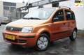 Fiat Panda 1.1 Active Oranje - thumbnail 1