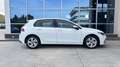 Volkswagen Golf VIII 2.0 tdi Style 150cv dsg Blanco - thumbnail 3