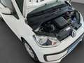 Volkswagen up! 1.0 move  Klima el. Fenster Weiß - thumbnail 14