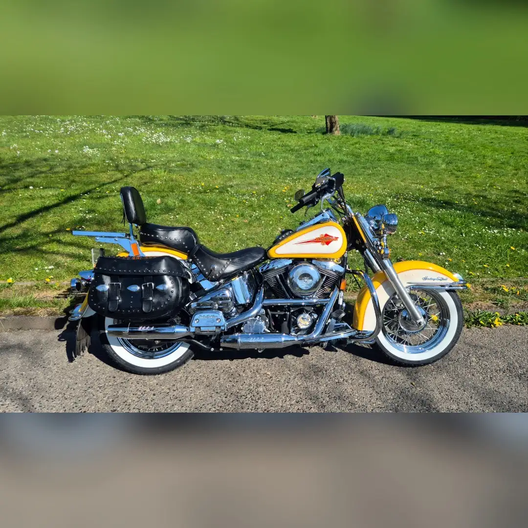 Harley-Davidson Heritage Softail Evolution Galben - 2