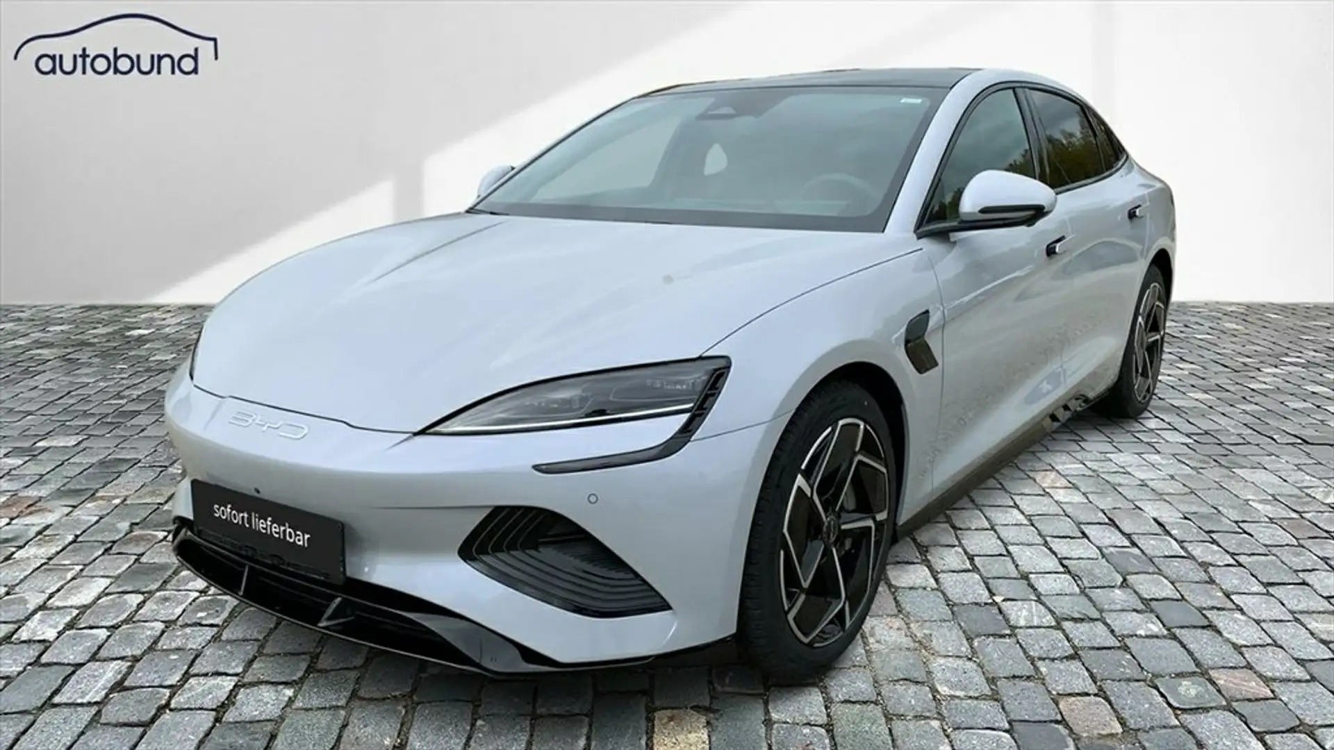 BYD Seal Design Wärmepumpe Alu LED NAV Kamera360° Серый - 1