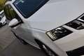 Skoda Octavia 2.0 TDI DSG Ambition / Service NEU / Anhängerkupp Weiß - thumbnail 11