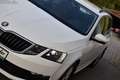 Skoda Octavia 2.0 TDI DSG Ambition / Service NEU / Anhängerkupp Weiß - thumbnail 14
