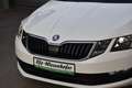 Skoda Octavia 2.0 TDI DSG Ambition / Service NEU / Anhängerkupp Weiß - thumbnail 13