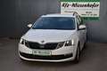 Skoda Octavia 2.0 TDI DSG Ambition / Service NEU / Anhängerkupp Weiß - thumbnail 2