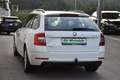 Skoda Octavia 2.0 TDI DSG Ambition / Service NEU / Anhängerkupp Weiß - thumbnail 5