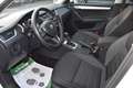 Skoda Octavia 2.0 TDI DSG Ambition / Service NEU / Anhängerkupp Weiß - thumbnail 25