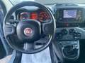 Fiat Panda 1.0 Firefly hybrid 70Cv 5posti CITY LIFE Grigio - thumbnail 8