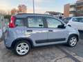 Fiat Panda 1.0 Firefly hybrid 70Cv 5posti CITY LIFE Grigio - thumbnail 5