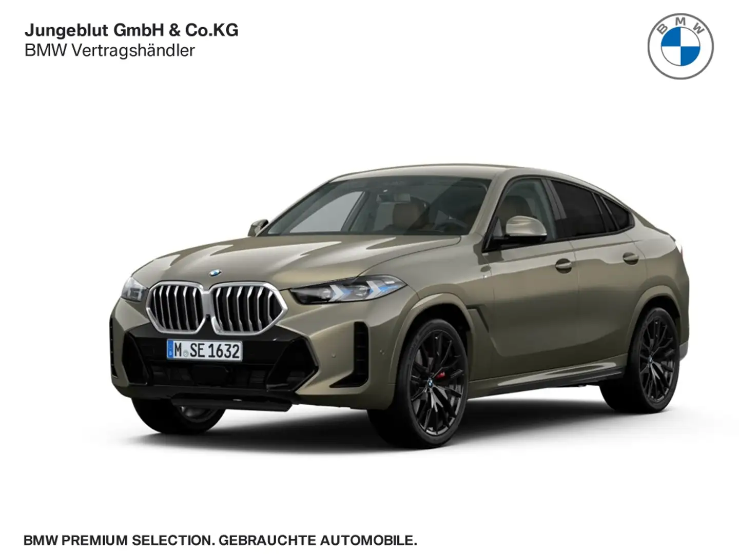 BMW X6 30d xDrive M Sport pro/AHK/DrivingAssist/ParkAssis Gris - 1