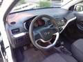 Kia Picanto Picanto 1.0 12V 5 porte Active Bianco - thumbnail 15