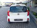 Kia Picanto Picanto 1.0 12V 5 porte Active Bianco - thumbnail 7