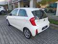 Kia Picanto Picanto 1.0 12V 5 porte Active Bianco - thumbnail 8