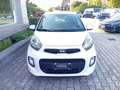 Kia Picanto Picanto 1.0 12V 5 porte Active Bianco - thumbnail 4