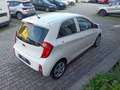Kia Picanto Picanto 1.0 12V 5 porte Active Bianco - thumbnail 6