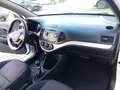 Kia Picanto Picanto 1.0 12V 5 porte Active Bianco - thumbnail 13