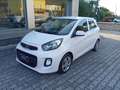 Kia Picanto Picanto 1.0 12V 5 porte Active Bianco - thumbnail 3