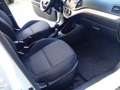 Kia Picanto Picanto 1.0 12V 5 porte Active Bianco - thumbnail 11