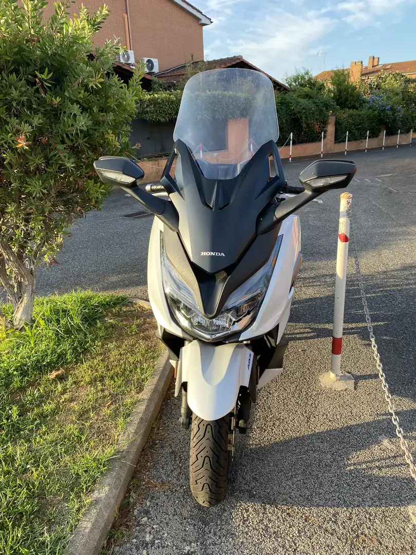 Honda Forza 350 Honda Forza 350 perfette condizioni - 1