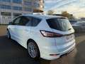 Ford S-Max 2.0 Titanium/Sportpaket/20ZOLL Weiß - thumbnail 5