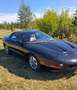Pontiac Firebird Firebird Automatik Zwart - thumbnail 1