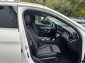 Mercedes-Benz C 200 T-Modell/NAVI/KAMERA/APPLE/AMBIENTE/SHZ Weiß - thumbnail 22