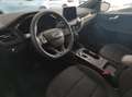 Ford Kuga 3ª serie - Kuga 2.0 EcoBlue 120 CV aut. 2WD ST-Lin Nero - thumbnail 10