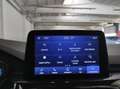 Ford Kuga 3ª serie - Kuga 2.0 EcoBlue 120 CV aut. 2WD ST-Lin Nero - thumbnail 20