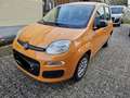 Fiat New Panda Arancione - thumbnail 2