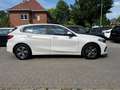 BMW 118 118iA HATCH136CV Business Pack NAVI/CARPLAY/DAB Bianco - thumbnail 7