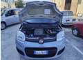 Fiat Panda 1.2 easypower Gpl s&s 69cv - thumbnail 7