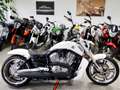 Harley-Davidson VRSC V-Rod 1.Hd.ABS Deutsch/10 Jahre Sondermodell mit Umbau Biały - thumbnail 20