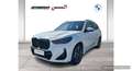 BMW X1 xDrive25e (U11) M Sportpaket Head-Up DAB LED Weiß - thumbnail 1