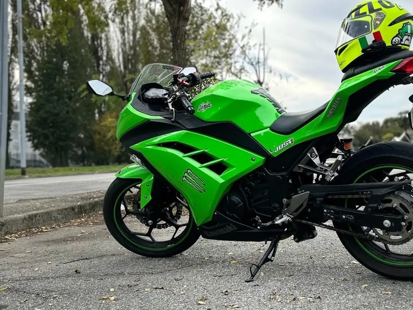 Kawasaki Ninja 300 ABS Yeşil - 1