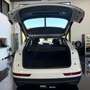Audi Q5 35 2.0 tdi S line Plus quattro 163cv s-tronic Blanc - thumbnail 7