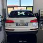 Audi Q5 35 2.0 tdi S line Plus quattro 163cv s-tronic Blanc - thumbnail 5