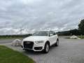 Audi Q3 Q3 2,0 TDI DPF Weiß - thumbnail 2