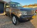 Land Rover Range Rover 2.9 Td6 HSE Grigio - thumbnail 3