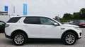 Land Rover Discovery Sport SE 2.0 Kamera LED Navi Sitzheizung Spurhalte Klima Blanco - thumbnail 2