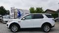 Land Rover Discovery Sport SE 2.0 Kamera LED Navi Sitzheizung Spurhalte Klima Blanco - thumbnail 6
