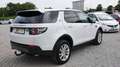 Land Rover Discovery Sport SE 2.0 Kamera LED Navi Sitzheizung Spurhalte Klima Blanco - thumbnail 3