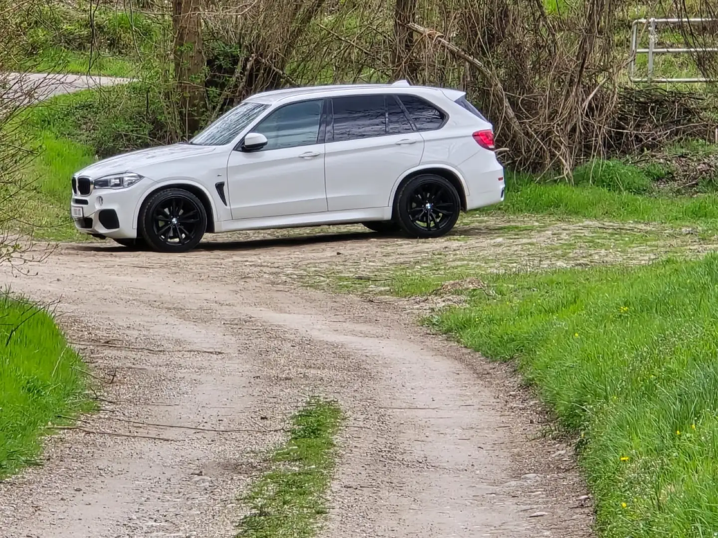 BMW X5 xDrive30d Sport-Aut. - 1