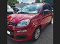 Fiat Panda Panda 1.2 Rot - thumbnail 1
